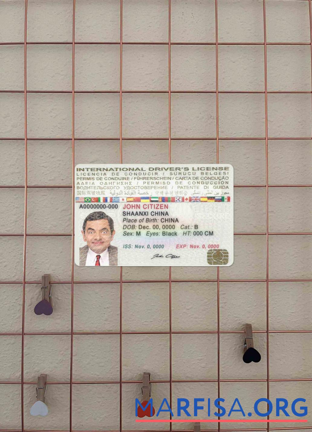 Downloadable International driver's license photolook download for verification
